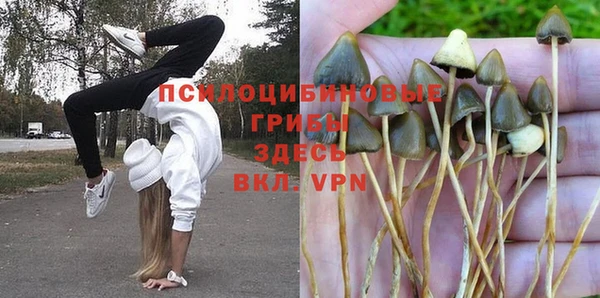 дурь Алексин