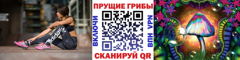 Псилоцибиновые грибы прущие грибы  купить наркотик  Порхов 
